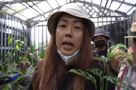 Didatangi Oknum Petugas Pajak Bersama Debt Collector, Soimah: Saya  Diperlakukan Seakan-akan Saya Ini Koruptor