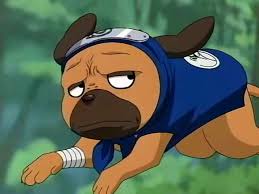 Day 23 Favorite Summoning Animal Pakkun Wins This One He S Funny And He S A Tiny Dog With An Attitude What S Not To Like About Him Naruto Anime Tiny Dogs