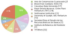 Image result for Desmodium psilocarpum