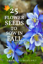 25 Flower Seeds To Sow In Fall In 2020 Flower Seeds Flowers Perennials Fall Plants