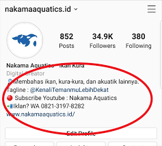 Contoh caption giveaway menarik di instagram. 7 Tips Optimalkan Instagram Untuk Jualan Ikan Dan Kura Kura Supaya Maksimal Nakama Aquatics