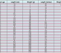 fetal growth chart the childrens happiness guide