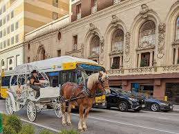 ban on horse-drawn carriages ...