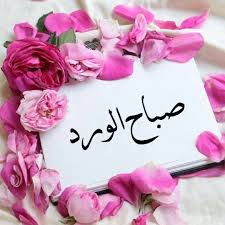 صباح الورد Good Morning Arabic Morning Images Beautiful Morning