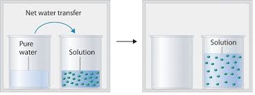 What happens to the freezing point of water when you add salt? 11 5 Phase Equilibrium In Solutions Nonvolatile Solutes Chemistry Libretexts