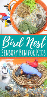 Bird Activities For Preschoolers Bird Sensory Bin With A Nest Building Activity Bird Crafts Preschool Sensory Bins Bird Crafts