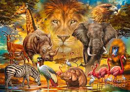 Baboon | african animals for kids. African Animals Collage Digital Art By Mgl Meiklejohn Graphics Licensing