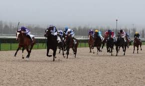 Après un peu plus de trois mois sans compétition, urgent appeal a laissé une belle impression pour sa rentrée. Pierre Charles Boudot Www Asso Jockeys Com