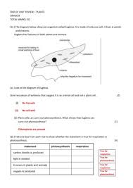 Check spelling or type a new query. Markscheme End Of Unit Assessment Pages 1 4 Flip Pdf Download Fliphtml5