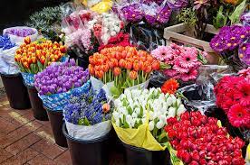 قائمة بأشهر 8 محلات ورد بالرياض للمناسبات السعدية وكوشات الافراح flower shop plants flowers