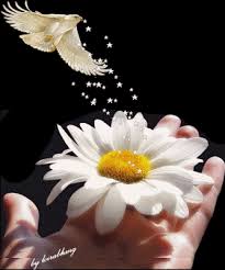 صور متحركة جميلة رمزيات وخلفيات متحركة روعة ميكساتك Flowers Gif Flowers Image Glitter