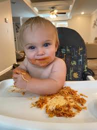 goat behaving like a livestock guardian dog