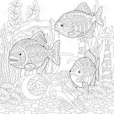 Also, please help us share this post on twitter, google+, facebook and any other. Piranhas South American Freshwater Predatory Fishes Coloring Royalty Free Cliparts Vectors And Stock Illustration Image 103013286