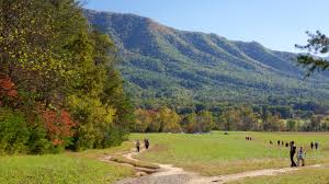The large battlefield is completely preserved with the visitor center, library and shiloh methodist church the only m. Great Smoky Mountains National Park Us Vacation Rentals Cabin Rentals More Vrbo