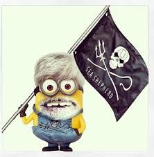 Paul Wataon Minion I Think Yess Whale Wars Animal Kindom Sea Shepherd