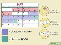 Sep 25, 2018 · the following method will help you find out your fertile window. 3 Ways To Use A Fertility Calendar Wikihow