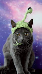 Knitted Alien Cat Hat Free Knitting Pattern Cat Hat Pattern Crochet Cat Hat Alien Cat
