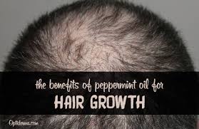 These extracts hold the flavor and essence of the unique properties of the herbal plants. Peppermint Oil For Hair Loss A Powerful Treatment To Encourage Hair Growth