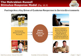 Chapter 10 Creating The Service Environment Ppt Video Online Download