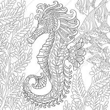 Pin On Coloring Book Fish Sea Life Seashells