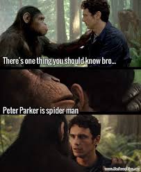 Movie Memes Movie Memes Spiderman Dawn Of The Planet