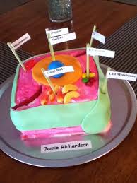 We have now placed twitpic in an archived state. 13 School Projects Ideas School Projects Projects Animal Cell