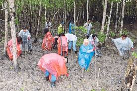Biasanya, hutan bakau juga sering diistilahkan sebagai penjaga pantai, karena memang secara harafiah hutan bakau merupakan hal pertama yang akan menjaga pantai atau pun daratan dari air laut. Kerjasama Tanam 200 Pokok