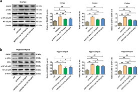 Kg = t _____ 0.0010000. Tanshinone Iia Attenuates Neuroinflammation Via Inhibiting Rage Nf Kb Signaling Pathway In Vivo And In Vitro Journal Of Neuroinflammation Full Text