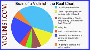 Brain Of A Violinist The Real Chart