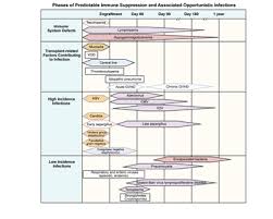 Childhood Hematopoietic Cell Transplantation Pdq