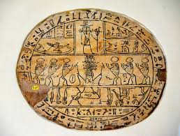 Image result for Hypselodelphys