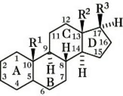There are many different types of steroids. Steroide Lexikon Der Chemie