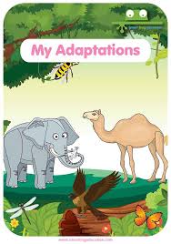 Why did humans start using camels to ride and pack supplies in desert habitats instead of horses? Animal Adaptations Animal Body Parts Smart Frog