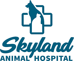 They offer full medical, dental, and surgical services to name just a few. Home Veterinarian In Asheville Nc Skyland Animal Hospital