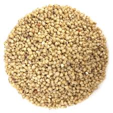 Image result for Sorghum