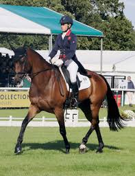 Belsay hall, castle and 30 acres of gardens are open to the public and managed by english heritage.the surrounding grade 1 listed parkland that is the venue for the horse trials, is maintained by the belsay trust. A British Top Three After Dressage Everything Horse