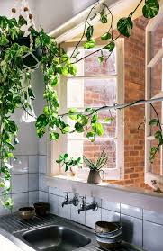 Plante Interieur Vignes D Appartement Tendances Cuisine Boheme Decoration Cuisine Et Cuisines Maison