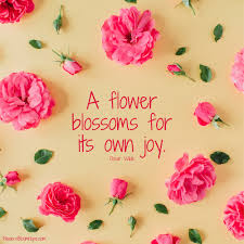 Flowers always provide people with hope color and happiness. Flower Quotes Flowers Bloom Hope
