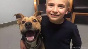 7-Year-Old Boy Has Helped Rescue More Than 1,400 Dogs from Southern Kill  Shelters