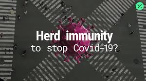 Any coffee beans, no matter how expensive or cheap, are fair game. Https Www Bloomberg Com News Videos 2020 03 19 Can Herd Immunity Help Stop Covid 19 Video Https Bbgvod Azure Us East1 Zenko Global Ssl Fastly Net Vod Vod M Ode1ndiynw Mjcwmjk3nq Pkg Hz Herdimmunity 031920 150 Mp4 Https Assets Bwbx