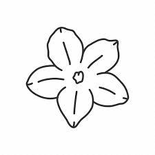 South carolina became the 8th state in 1788. Flower South Carolina State State Flower State Symbol Usa Yellow Jessamine Icon Download On Iconfinder