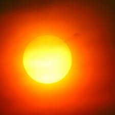 Adam hart looks at how new developments in understanding insect behaviour, plant cell growth and last on. This Is How Our Sun Will Die Discovery