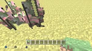 Zombies will target pigmen like villagers and then the zombies could infect them. How To Kill Zombie Pigmen Youtube