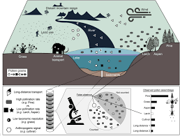 Chase av direct have been selling online since 2003. Pollen Based Climate Reconstruction Techniques For Late Quaternary Studies Sciencedirect