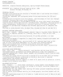 ascii resume example resumesdesign