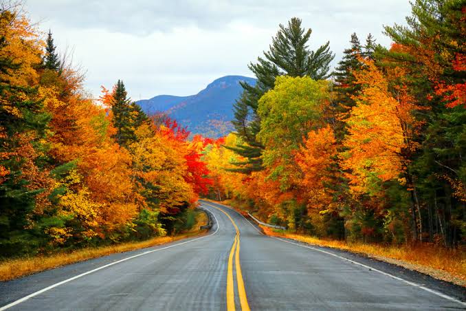Why Fall Is The Only Worthwhile Season