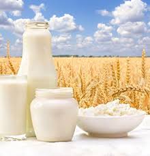 עוגות גבינה, פשטידות וקישים, מאפים, טבעוני, סלטים, קינוחים וכל מה שצריך לארוחת החג ××¡××'×ª ×©×'××¢××ª ×'××××©× ×¢××¨×××ª ×ª× ××'××' ××¤×