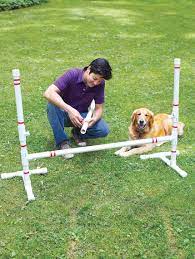 Want a dog training obstacle course but don't have a budget for one like you saw on those fancy training shows? How To Build A Diy Dog Agility Course This Old House