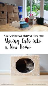 7 Astoundingly Helpful Tips For Moving With Cats Into A New Home New Homes Moving Home Moving House Tips
