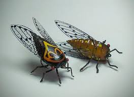 Image result for Turraea fischeri